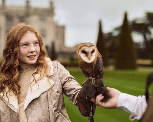 Adare-manor-falconry-pic-2