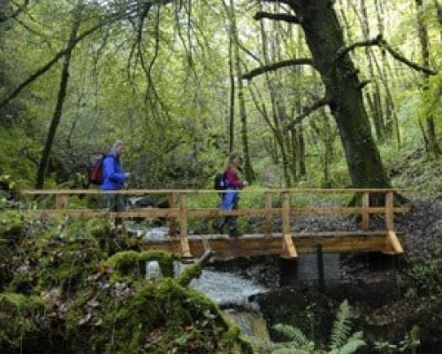 Ballyhoura