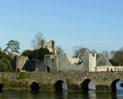 adare-desmond-castle-2