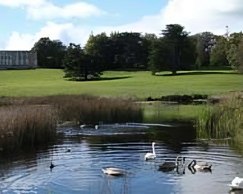 curraghchase-image