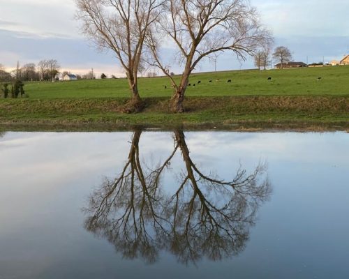 riverbank-walk-new-pic-1