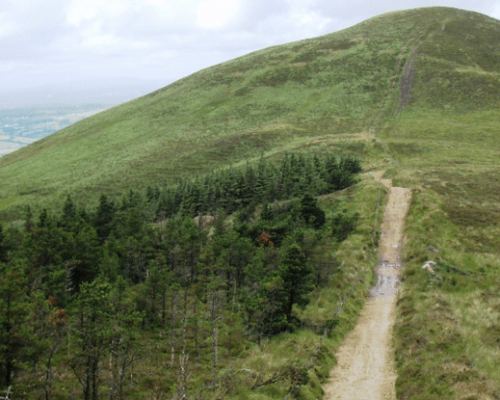 slieve-felim